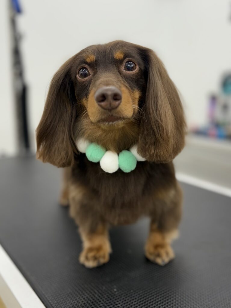 Frankie
