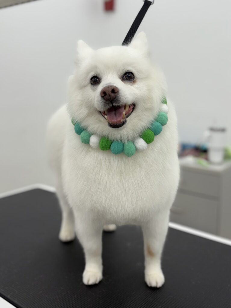 Max